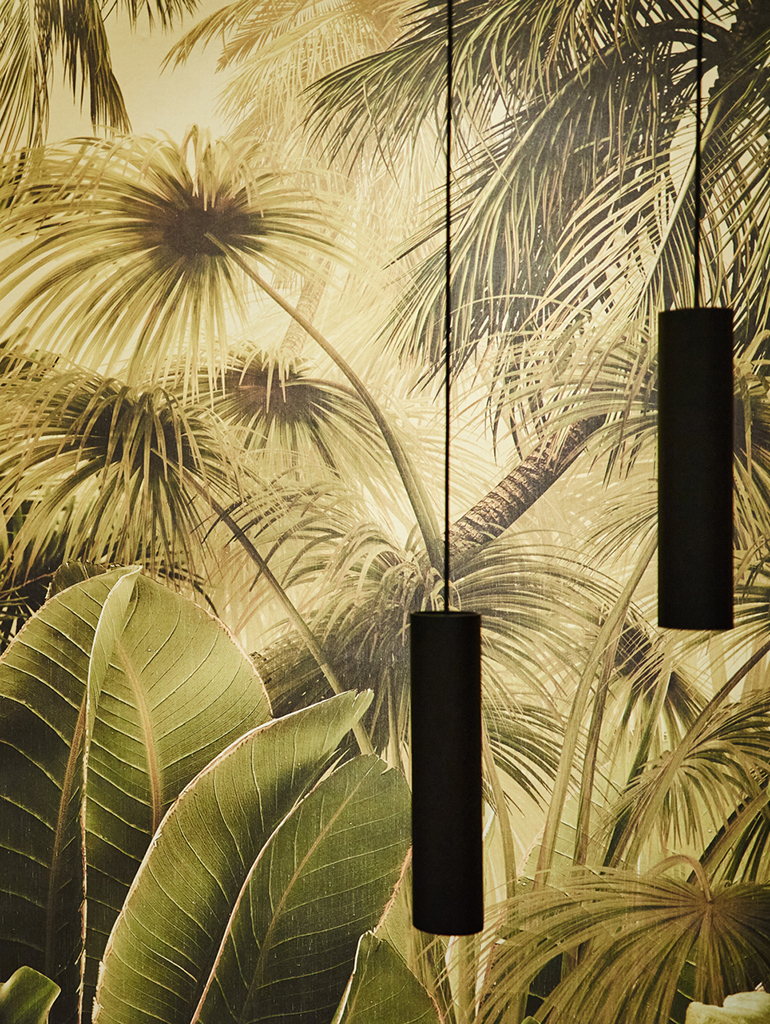 A jungle in the center of Sofia